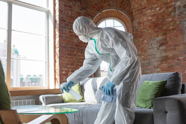 Best Attic Mold Removal  in Cayuga Heights, NY